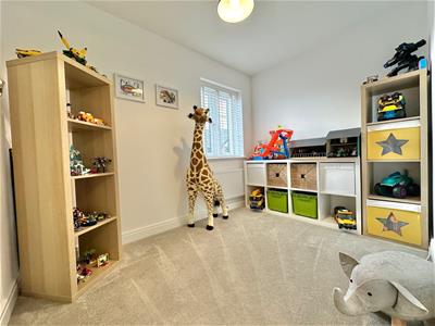 Picture 21